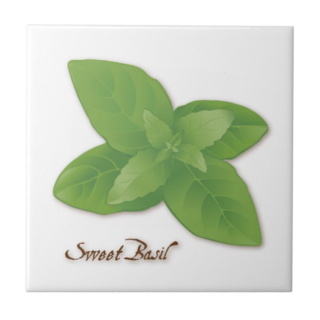 Sweet Basil Herb Tile (Front)