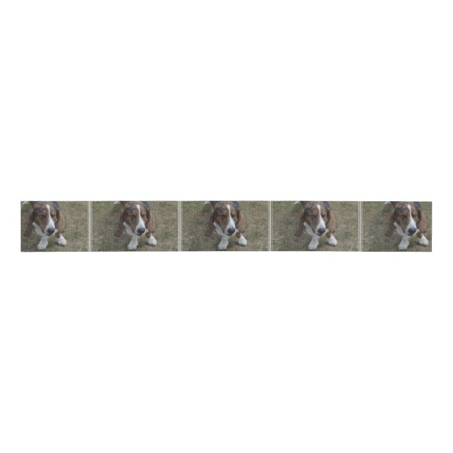 Sweet Basset Hound Grosgrain Ribbon (Front)