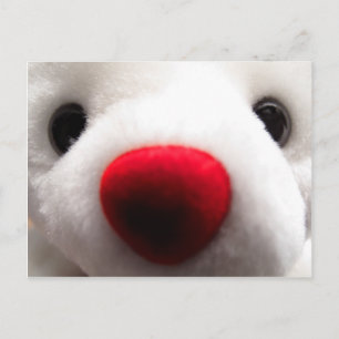 Sweet Bear Postcard