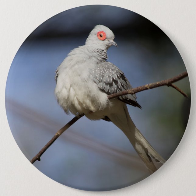 Sweet Beautiful Diamond Dove 6 Cm Round Badge (Front)