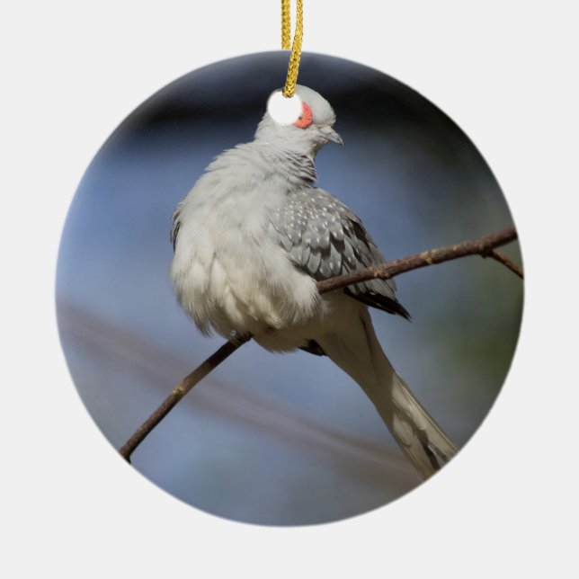 Sweet Beautiful Diamond Dove Ceramic Tree Decoration (Front)