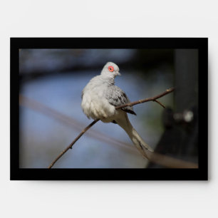 Sweet Beautiful Diamond Dove Envelope