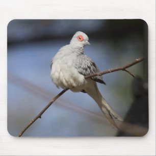 Sweet Beautiful Diamond Dove Mouse Mat