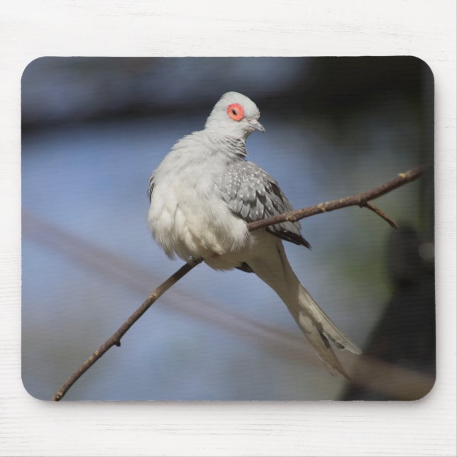 Sweet Beautiful Diamond Dove Mouse Mat (Front)