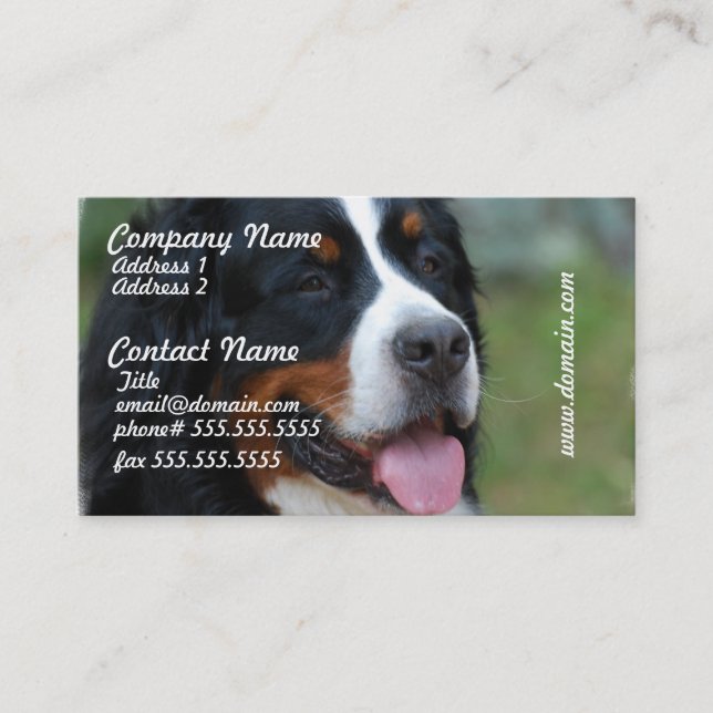 Sweet Bernese Business Cards (Front)