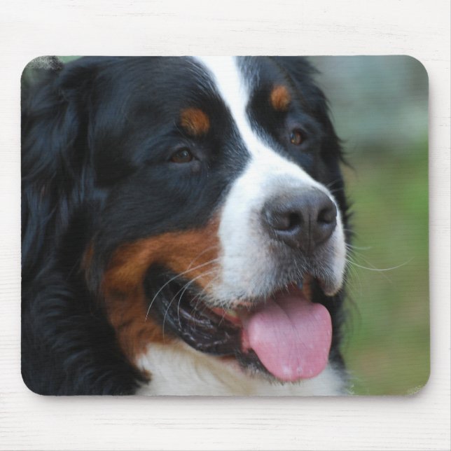 Sweet Bernese Mouse Pad (Front)
