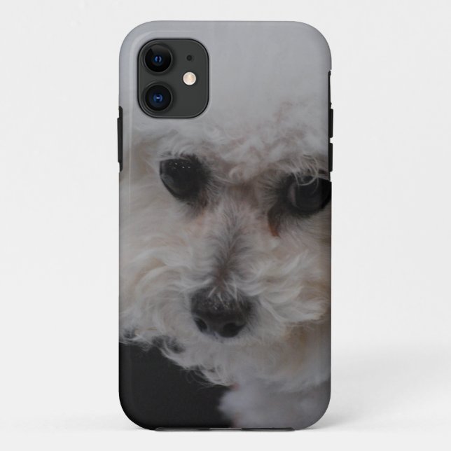Sweet Bichon Frise Case-Mate iPhone Case (Back)
