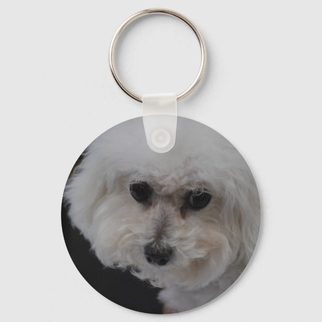 Sweet Bichon Frise Key Ring (Front)