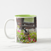 Sweet Bird Mug