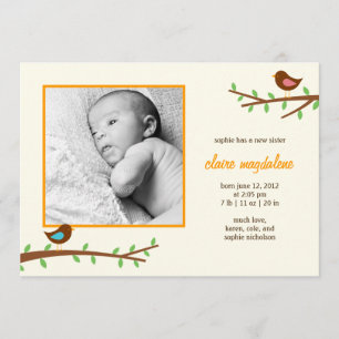 Sweet Birdies Baby Birth Announcement