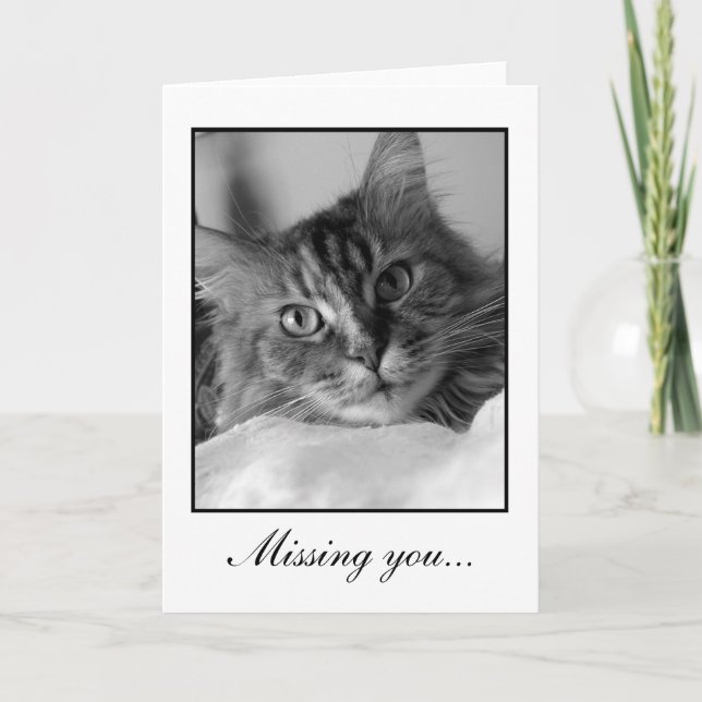 Sweet black and white photo of tabby cat card (Front)