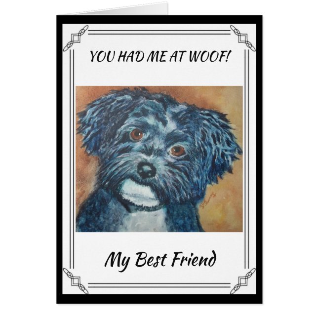 SWEET BLACK HAVANESE (Front)