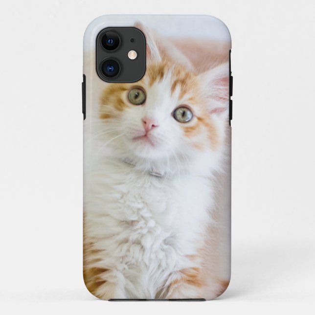 Sweet Blue Eyed Kitty Case-Mate iPhone Case (Back)