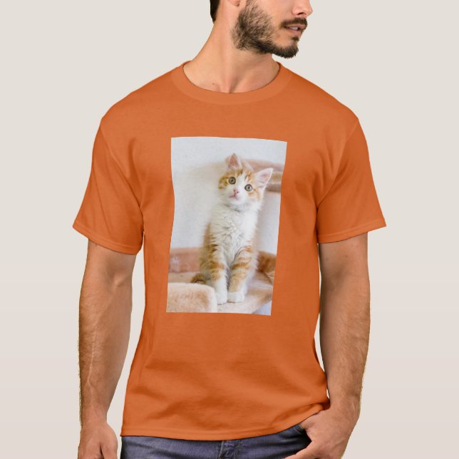 Sweet Blue Eyed Kitty T-Shirt (Front)