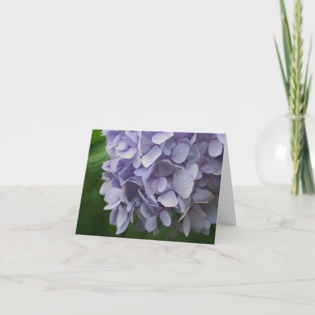Sweet Blue Hydrangea Flower Photography Note Card (Front)