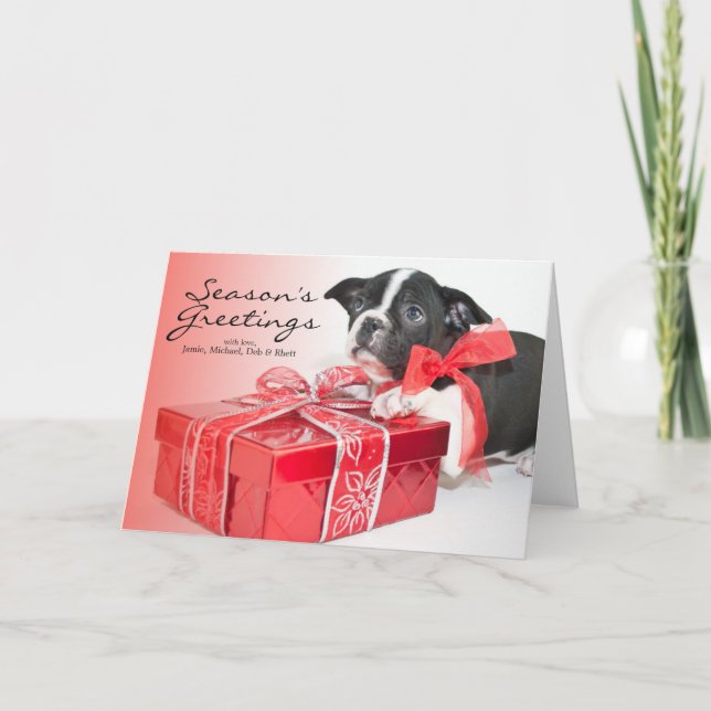 Sweet Boston Terrier puppy Holiday Card (Front)