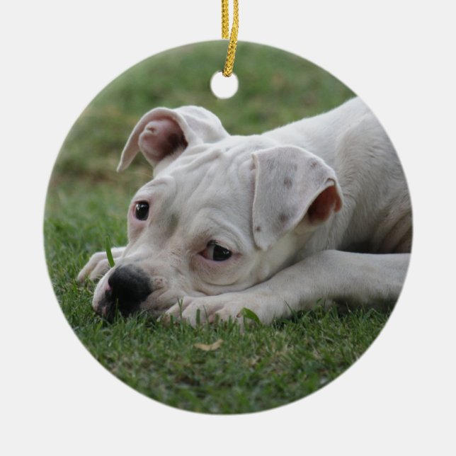 Sweet Boxer Puppy Ceramic Tree Decoration (Front)
