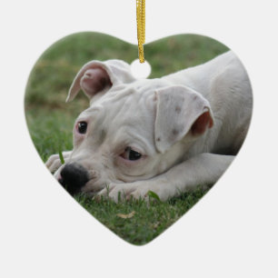 Sweet Boxer Puppy Ceramic Tree Decoration