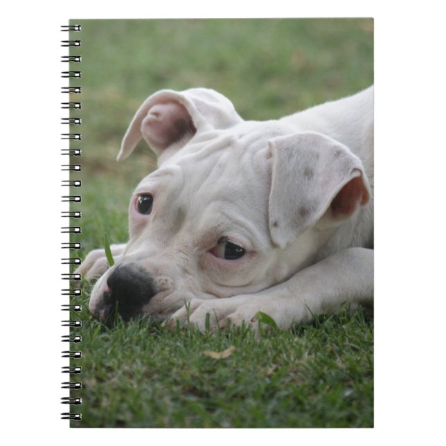 Sweet Boxer Puppy Notebook (Front)