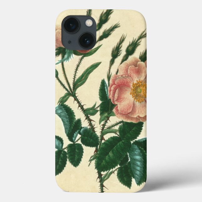Sweet Briar Rose Case-Mate iPhone Case (Back)