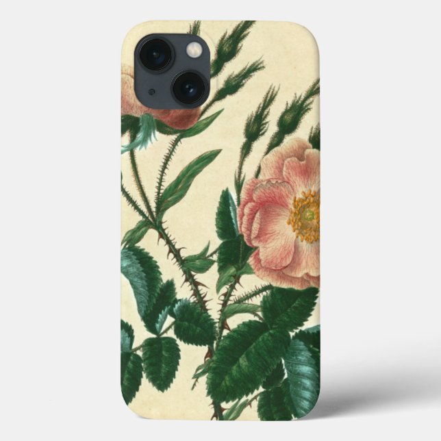 Sweet Briar Rose Case-Mate iPhone Case (Back)