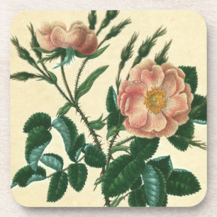 Sweet Briar Rose Coaster