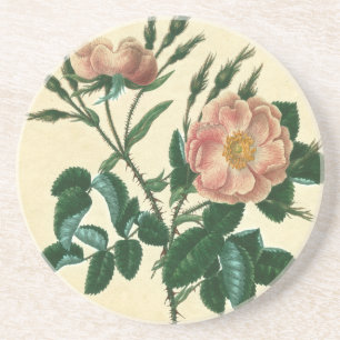 Sweet Briar Rose Coaster