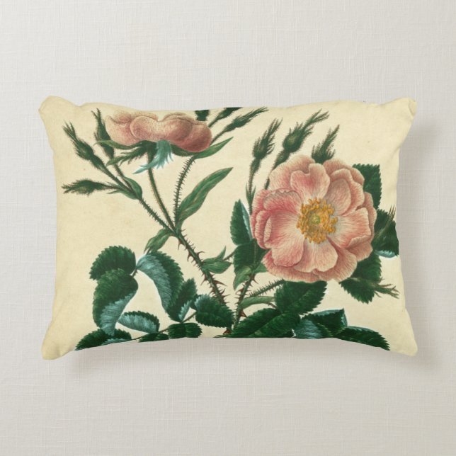 Sweet Briar Rose Decorative Cushion (Front)
