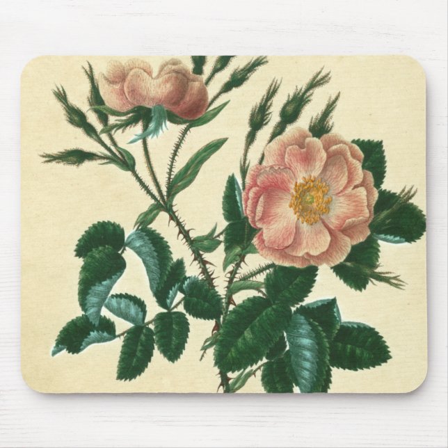 Sweet Briar Rose Mouse Mat (Front)