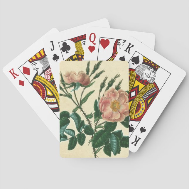 Sweet Briar Rose Playing Cards (Back)