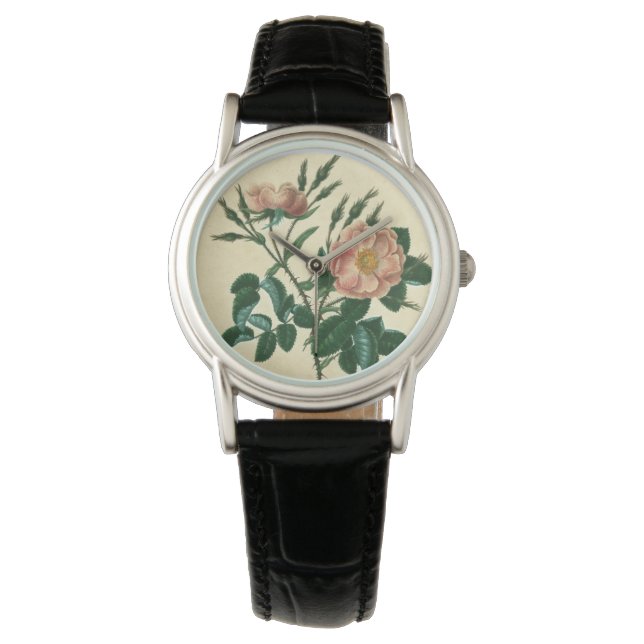 Sweet Briar Rose Watch (Front)