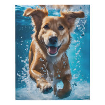 Sweet Brown and White Dog Splashing in the Water