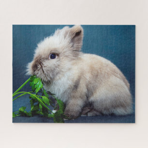 Sweet Bunny, Jigsaw Puzzle