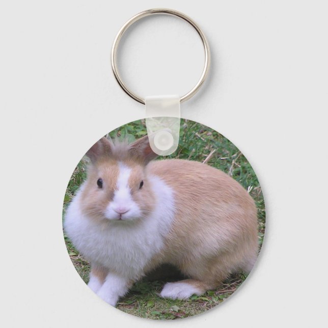 sweet bunny key ring (Front)