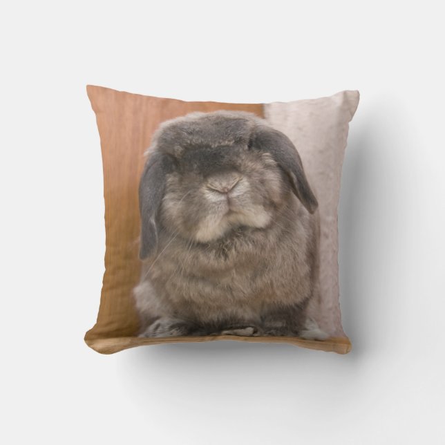 Sweet Bunny Stare Cushion (Front)