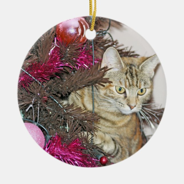 sweet cat inside a christmas tree ornament (Front)
