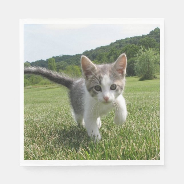 Sweet Cat Napkin (Front)