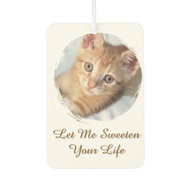 Sweet Cat Photo,  Text, Replaceable, Car Air Freshener (Front)