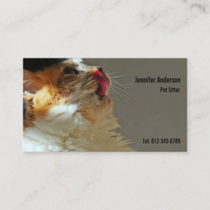 Sweet Cat Sammi Lovely Cute Photograph Business Card
