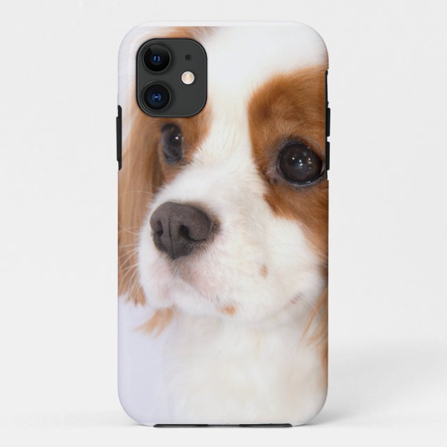 Sweet Cavalier King Charles Spaniel iphone 5g Case (Back)