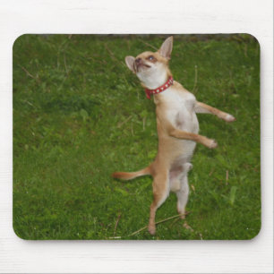Sweet Charlie Chihuahua Mouse Mat