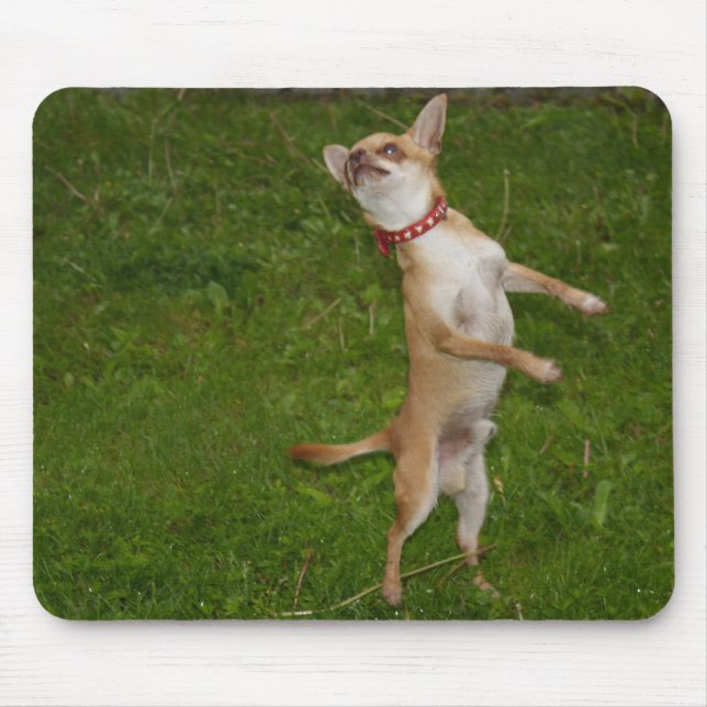 Sweet Charlie Chihuahua Mouse Mat (Front)