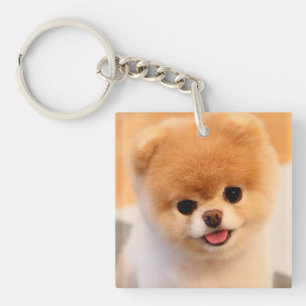 Sweet Charming Pomeranian Unique Key Ring