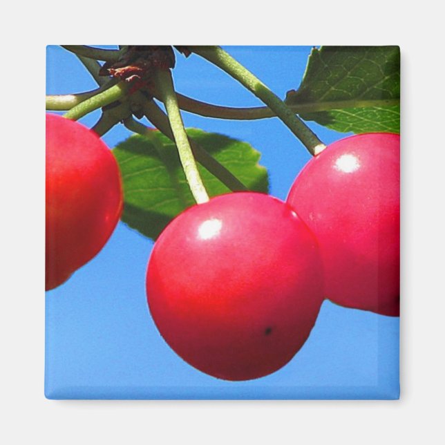 Sweet Cherries Magnet (Front)