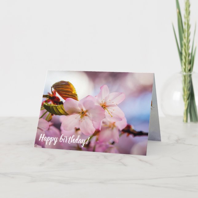 Sweet Cherry Blossoms Of Pink Colour And Blue Sky Card (Front)