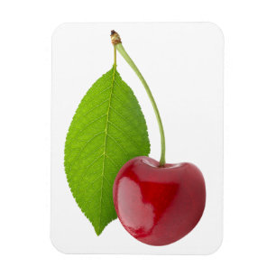Sweet cherry magnet