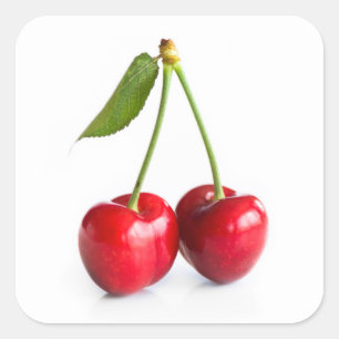 Sweet cherry square sticker
