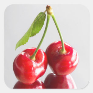 Sweet cherry square sticker