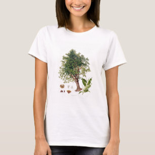 Sweet Chestnut, engraved by A. Haase (colour litho T-Shirt