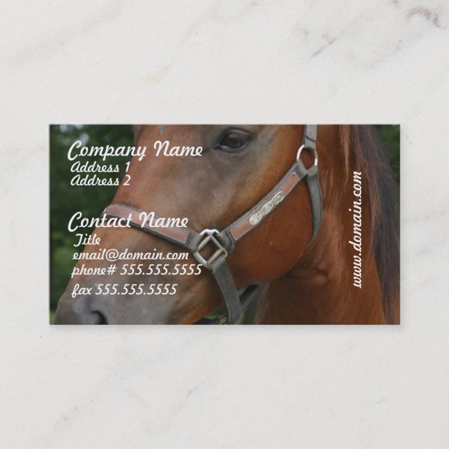 Sweet Chestnut Horse Business Cards (Front)